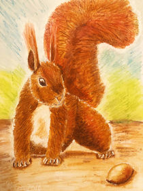 Eichhörnchen – Squirrel  von Petra Pele Brockmann