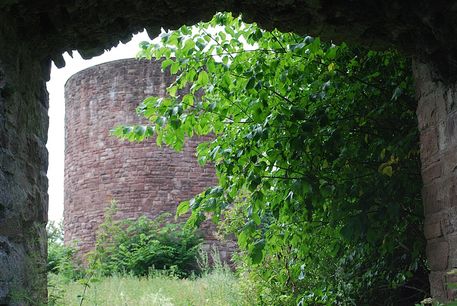 Ruine-homburg-4