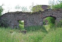 Ruine Homburg... 6 by loewenherz-artwork