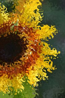 Sonnenblume 1 von alana