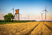 Wind turbine among golden ears of grain crops by Zoltan Duray