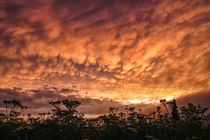 Gewitterstimmung mit Mammatuswolken über dem Hegau bei Stockach by Christine Horn