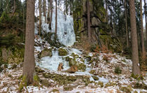 Blauenthaler Wasserfall im März 2018 by Astrid Steffens