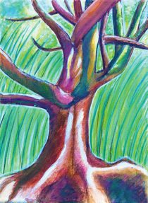 Kalalau Tree – Kaua'i by Petra Pele Brockmann