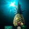 Residential-house-in-the-pineapple-deep-in-the-sea-3d-illustration