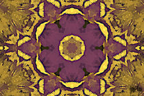 Lila Blume - Purple flower von art-and-design-by-debbie-lynn