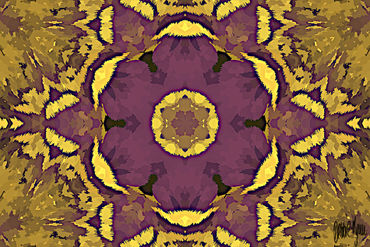 Lila-blume-purple-flower