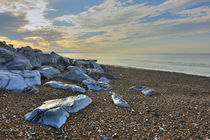 Looking east from Worthing Beach by Malc McHugh