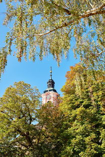 Kirchturm Basilika Birnau zwischen Laubbäumen von sven-fuchs-fotografie