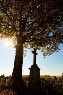 Kreuz unter einem Baum mit Herbstlaub bei Gegenlicht by sven-fuchs-fotografie