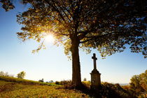 Kreuz unter einem Baum mit Herbstlaub bei Gegenlicht by sven-fuchs-fotografie