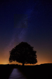 Sternenhimmel mit einzelnem Baum als Silhouette by sven-fuchs-fotografie