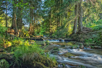 Waldlandschaft mit Fluß im Erzgebirge - Querformat-„landscape“ von Astrid Steffens