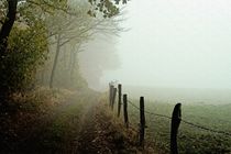 Feldweg im Nebel von Ralf Eckert