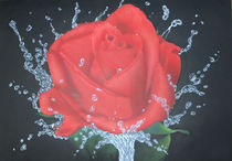 Rose mit Wassertropfen von Harry Heffels
