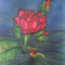 Rose-airbrush-colorair-fineart