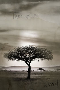 TreeOfLife by nyah