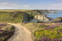 South West Coast Path - Carvannel Downs, Cornwall, UK. by Malc McHugh