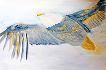wild and free- th eagle von Maria-Anna  Ziehr