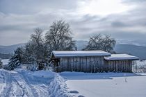 Wintertraum von Astrid Steffens