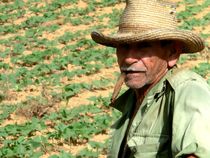 Kuba Farmer von Petra Kammler