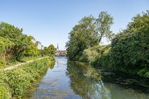 Chichester Ship Canal Spring by Malc McHugh