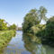 Chichester-ship-canal-spring