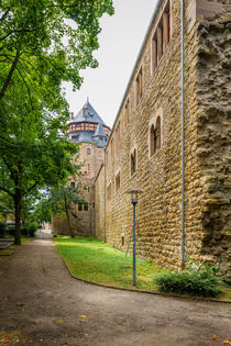 Schloss Alzey 58 von Erhard Hess