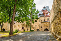 Schloss Alzey 79 von Erhard Hess