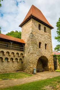 Stadttor mit Turm in Alzey 42 by Erhard Hess