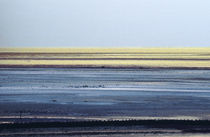 Sylt, Wadden Sea - 9 by Thomas Anton Stribick