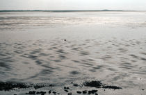 Sylt, Wadden Sea - 8 by Thomas Anton Stribick