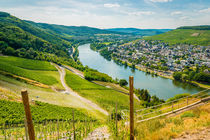 Mosel bei Kues 66 by Erhard Hess