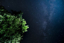 Blick in den Himmel  von Stephan Zaun
