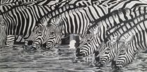Zebras am Wasser by Erich Handlos