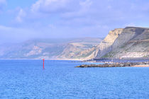 West Cliff near West Bay, Dorset. von Malc McHugh