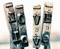 type love  by Charles Taylor