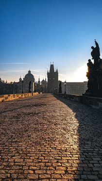 Morning on Charles Bridge by Tomas Gregor
