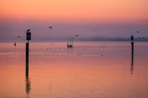 Morgendämmerung über dem Zeller See - Halbinsel Höri by Christine Horn