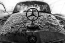 Mercedes by Stephan Zaun