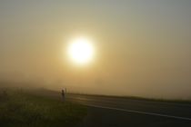 Sonnenaufgang im Nebel by Claudia Evans