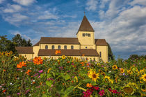 Kirche St. Georg mit Blumenwiese auf der Insel Reichenau - Bodensee von Christine Horn