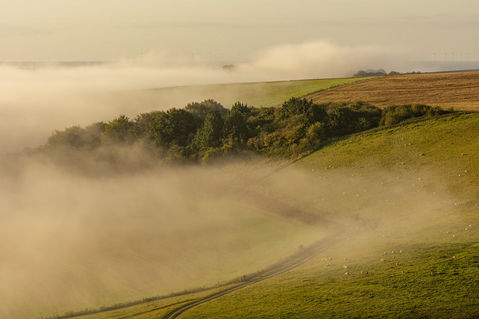 South-downs-mist