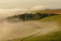 South Downs Mist by Malc McHugh
