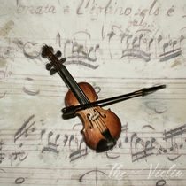 The Violin by Peter Hebgen