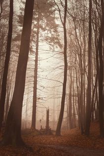 Düsterer Wald von Claudia Evans