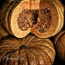 Pumpkin by Peter Hebgen