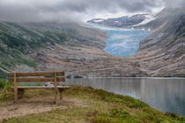 Blick auf den Svartisen Gletscher by Iris Heuer