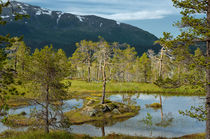 Ånderdalen-Nationalpark by Iris Heuer