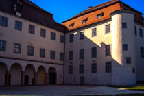 Schloss Großlaupheim von Michael Naegele
